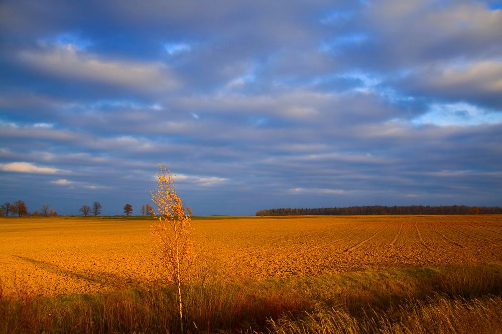 Фотография автора Eugenijus Rauduve