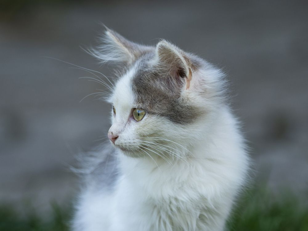 Photograph by Ignatov Yury