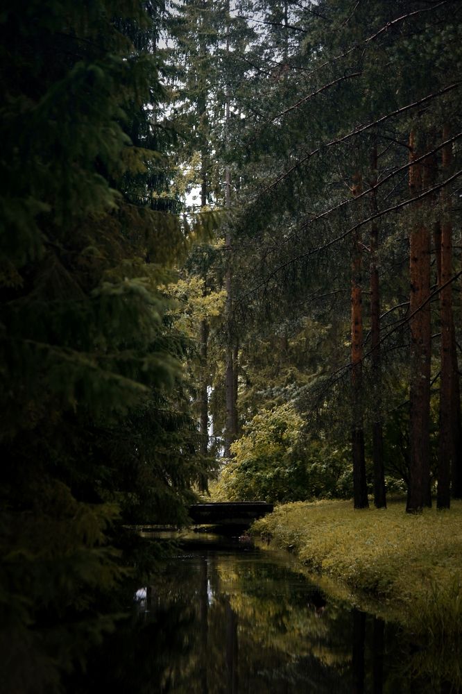 Photograph by Светлана Дорофеева