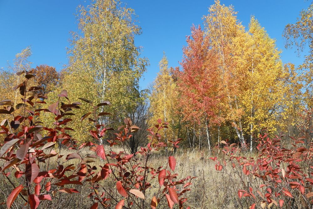 Photograph by Valeriy Bogushev