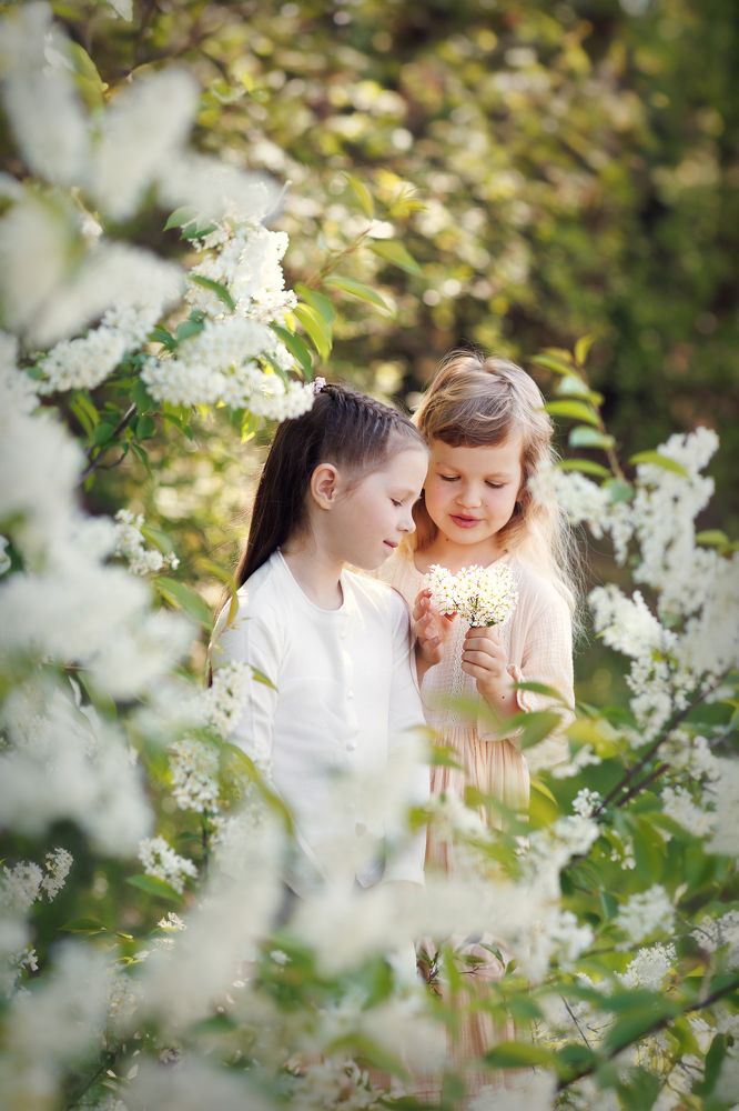 Фотография автора Галина Аверьянова