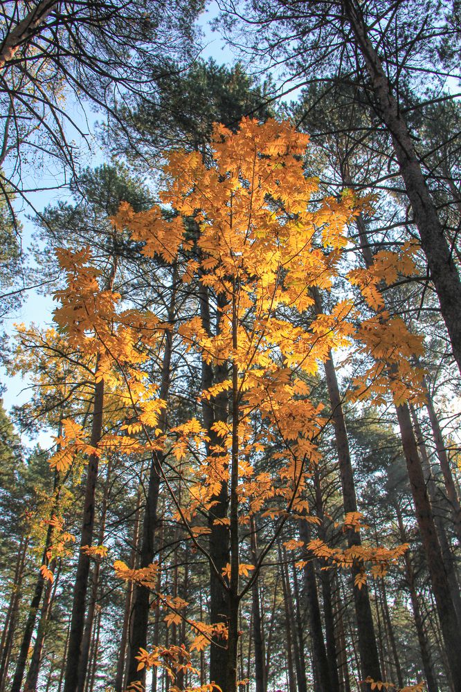 Photograph by Ирина Рыжова