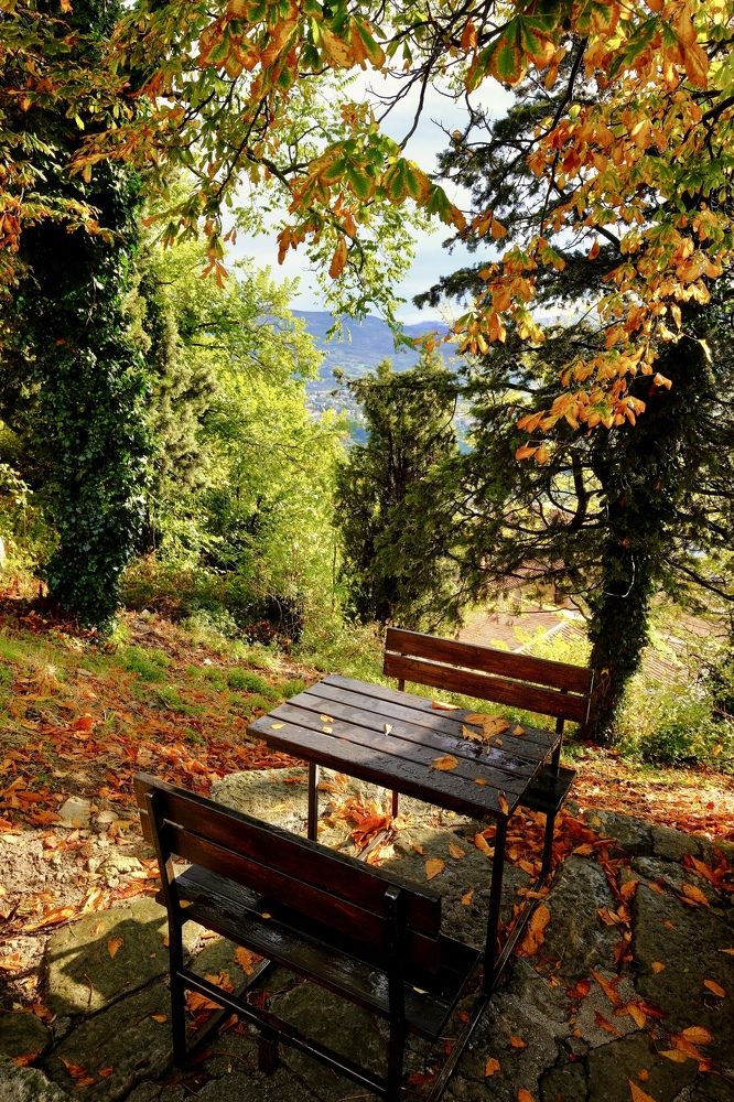 Photograph by Медведев Антон