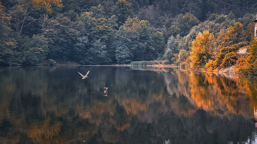 Photograph by Eldin Ceycky