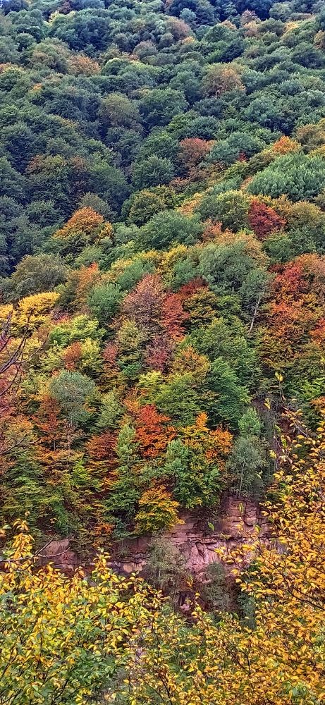 Photograph by Олег Карданов