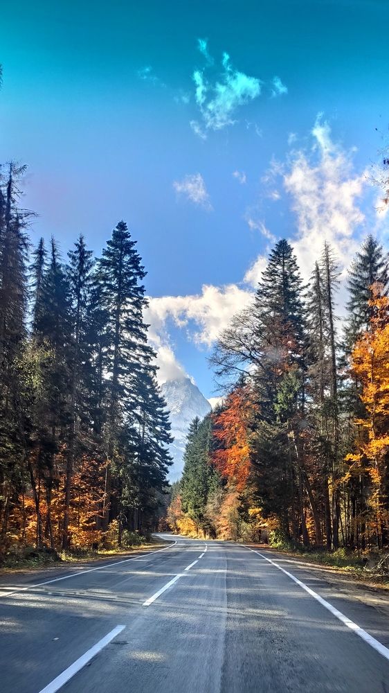 Photograph by Олег Карданов