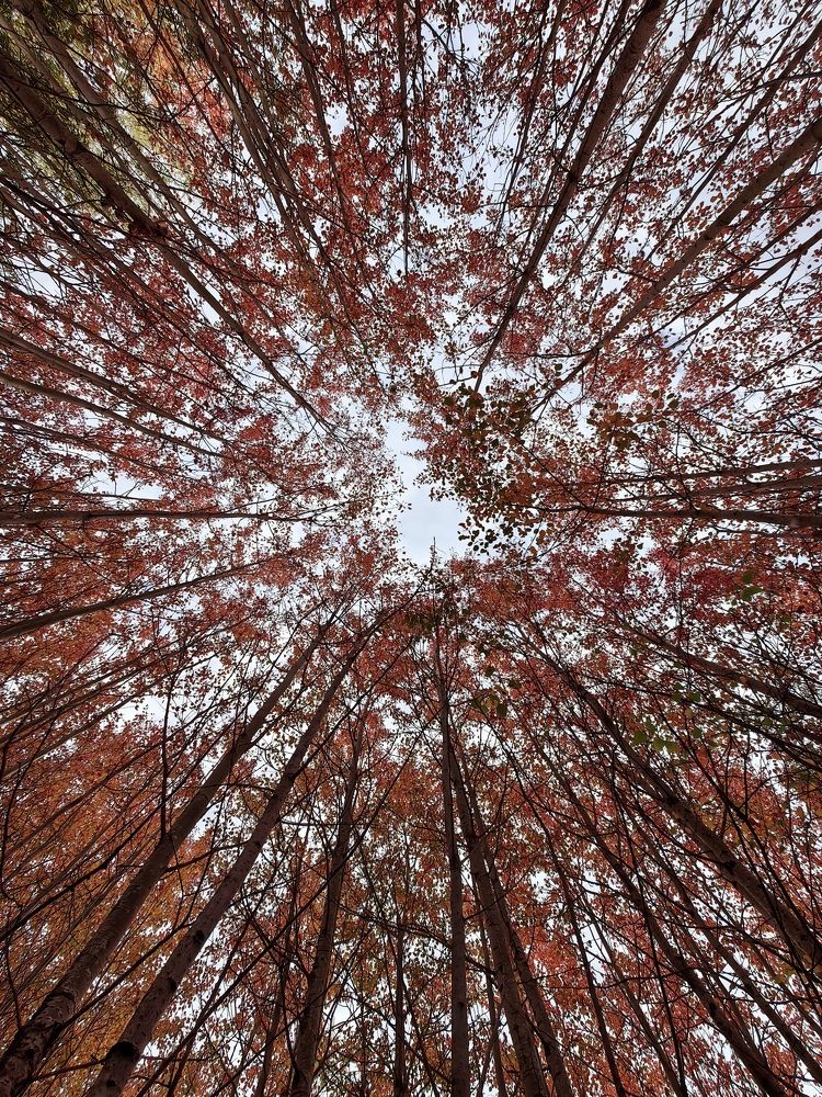 Photograph by Maiya Bulatova