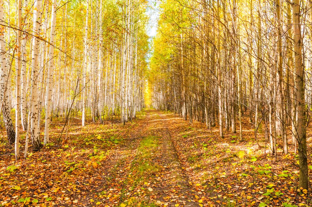 Photograph by Абаимов Александр