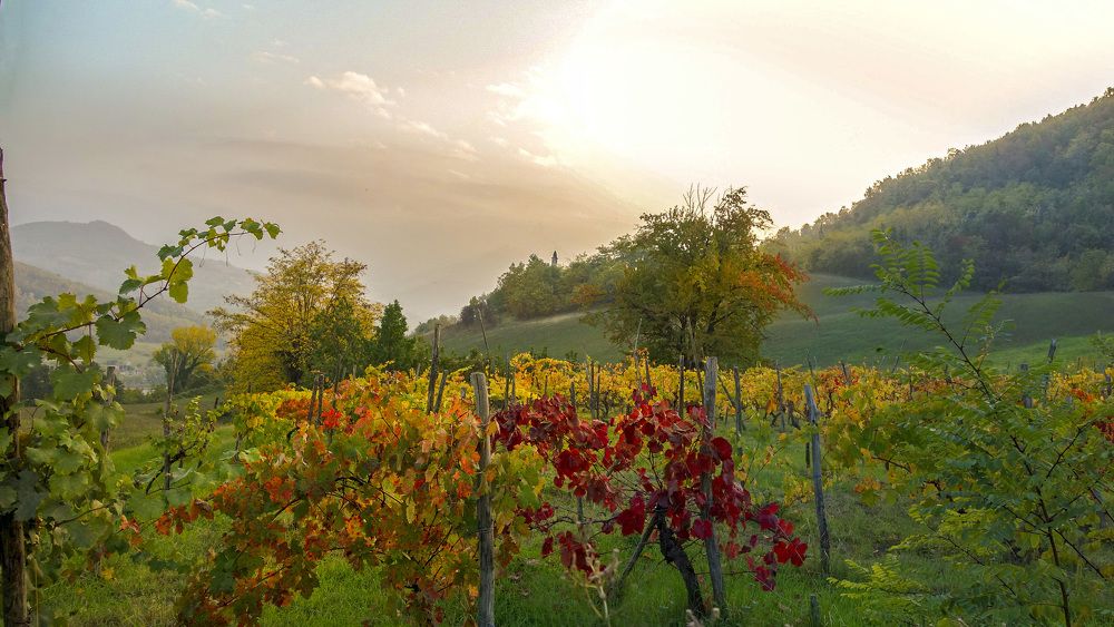 Фотография автора Liliana C.