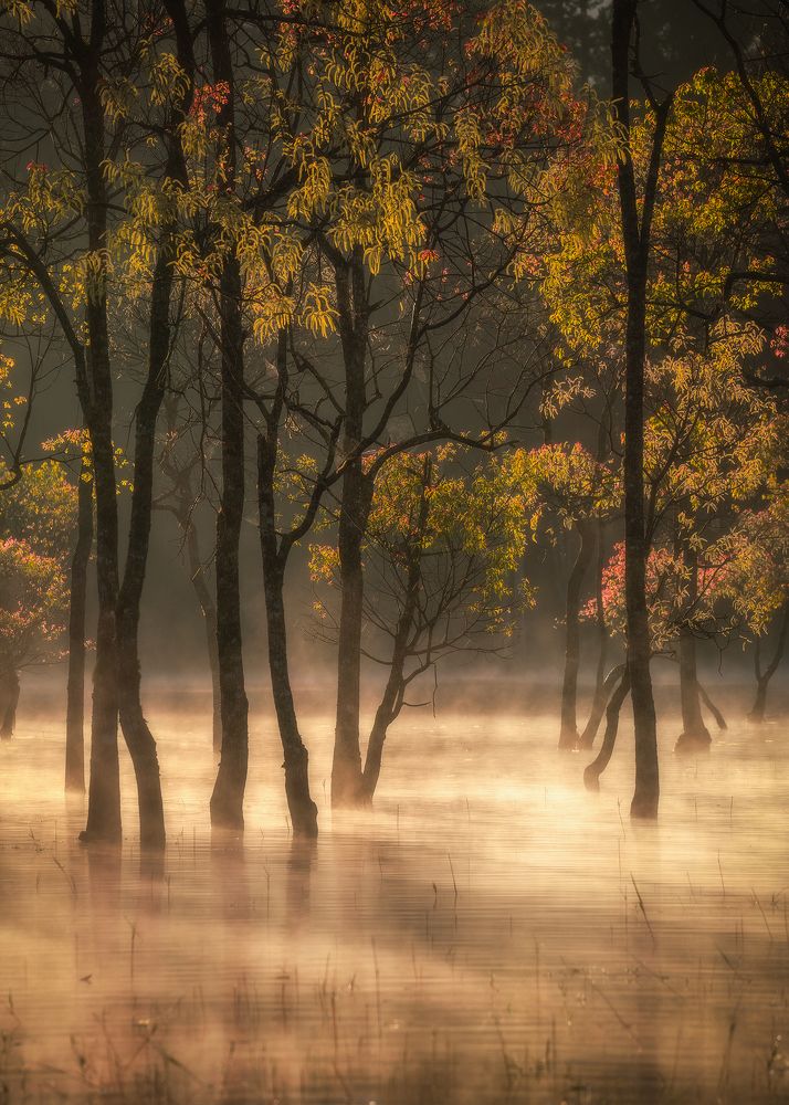 Photograph by Trieu Nguyen