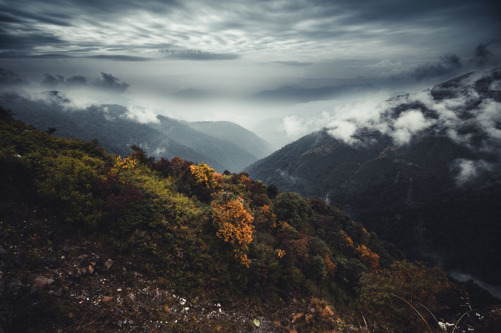 Photograph by Subhajit Basak