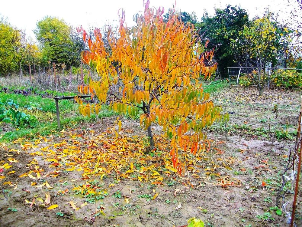 Photograph by Володимир Федишин