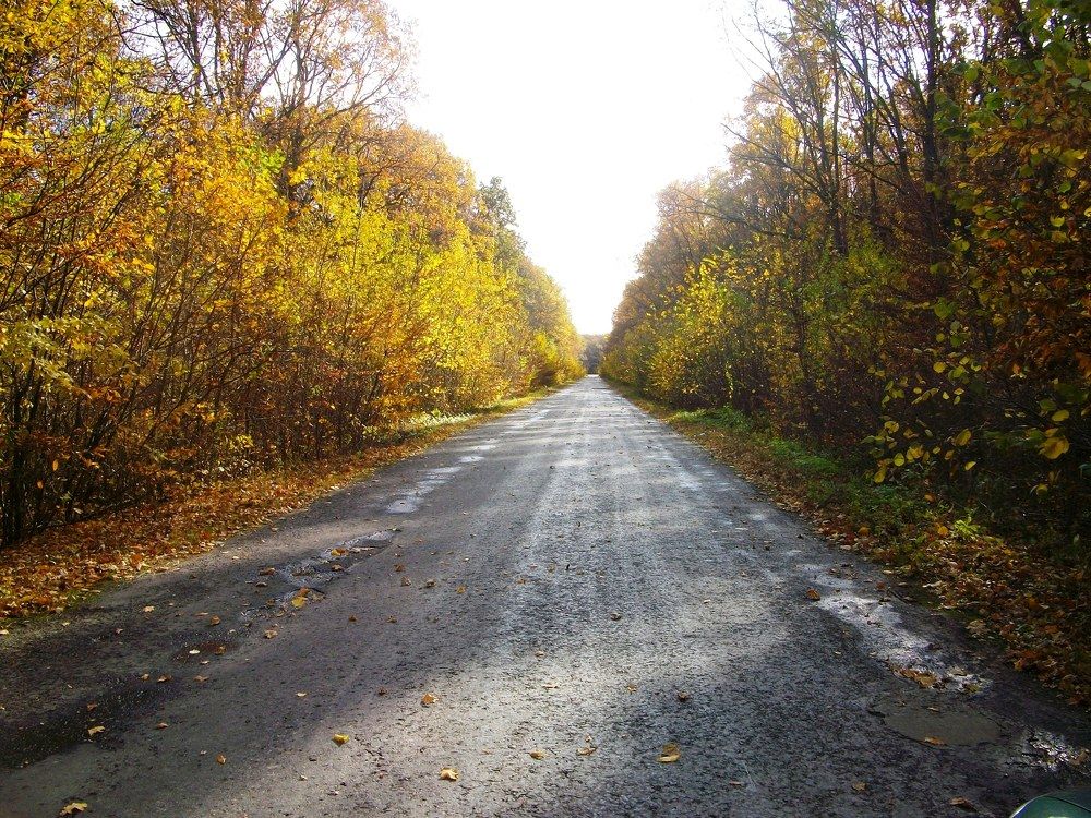 Photograph by Володимир Федишин