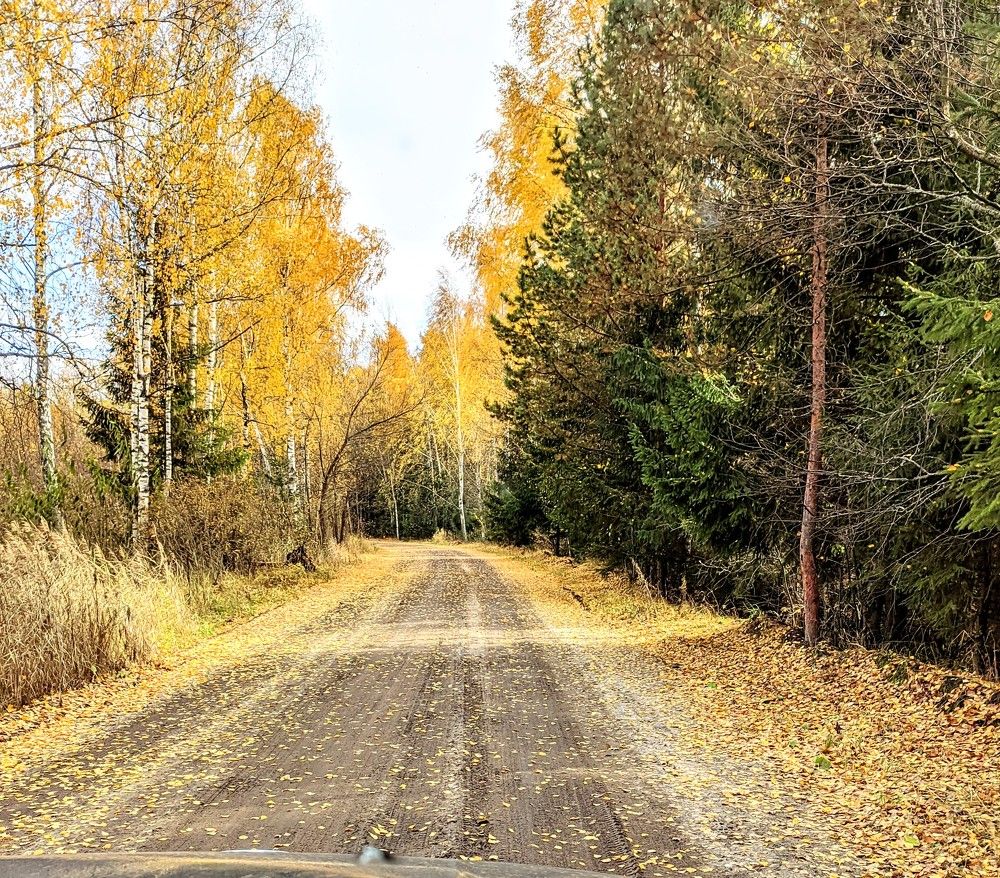 Photograph by Анна Андреевна