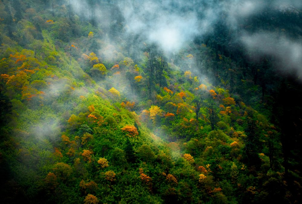 Photograph by Subhajit Basak