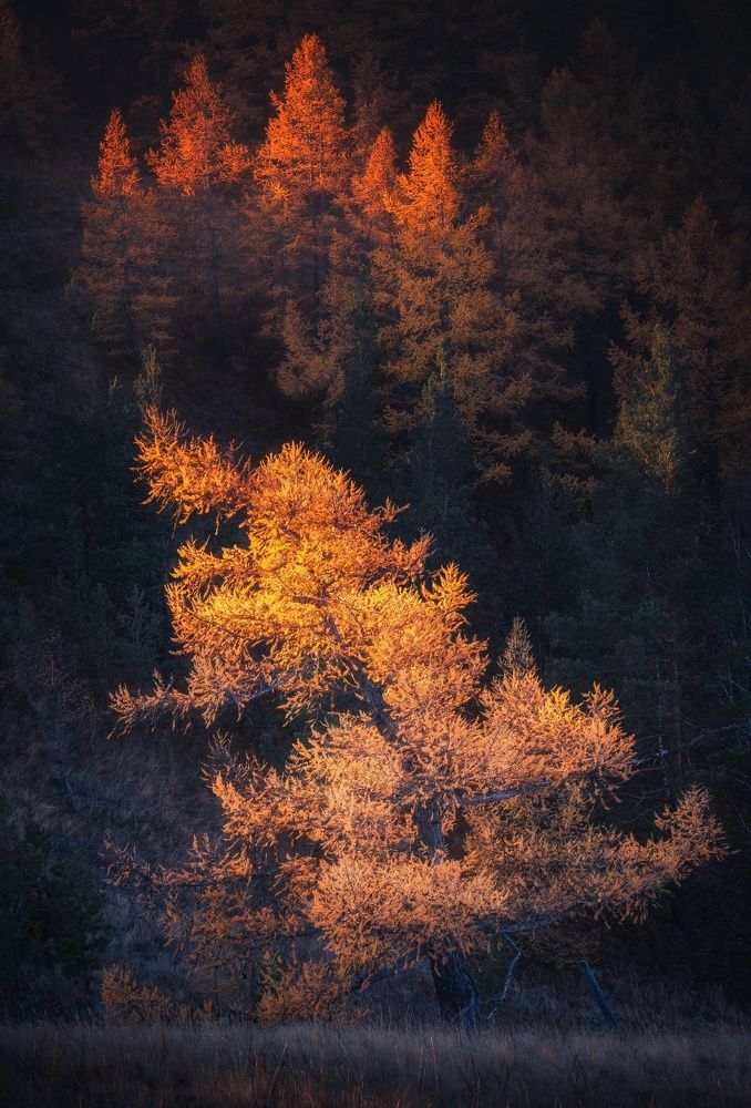 Photograph by Силантьев Даниил