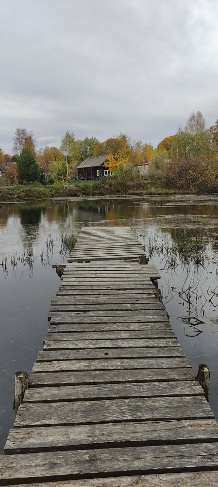 Фотография автора Васильева Ирина