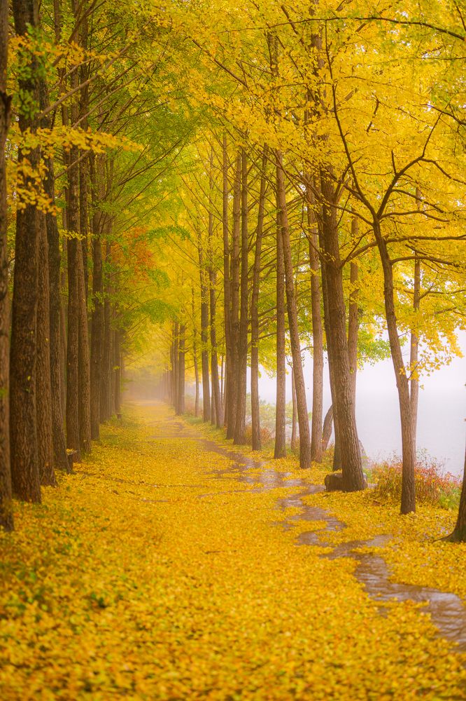 Photograph by Илья Меркулов