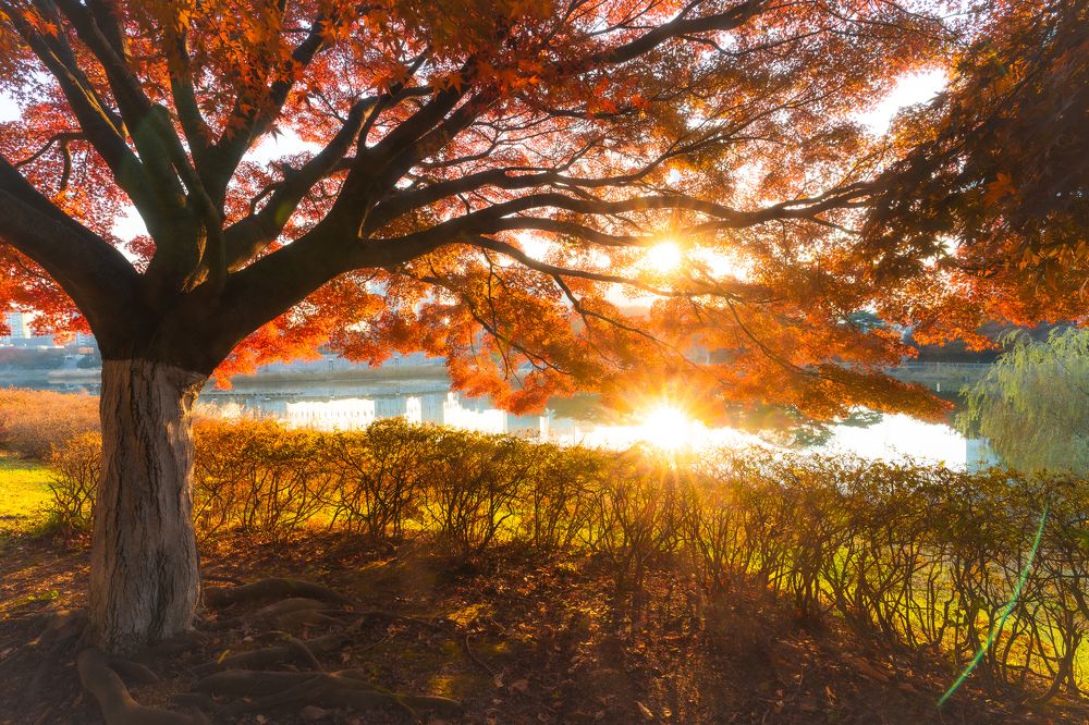 Photograph by Илья Меркулов