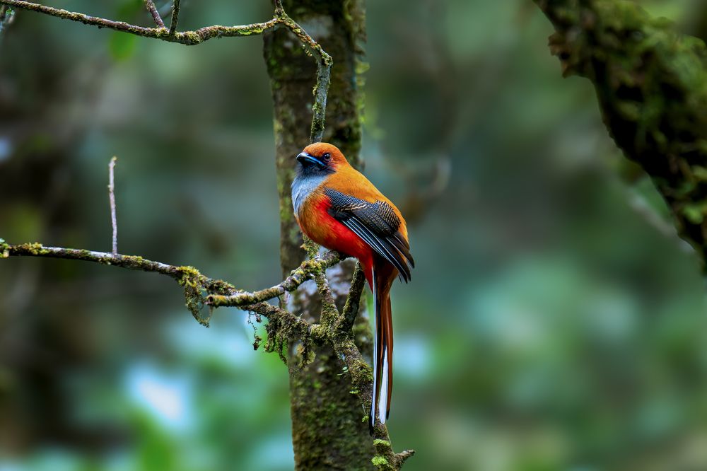 Photograph by Chee Fui Chin