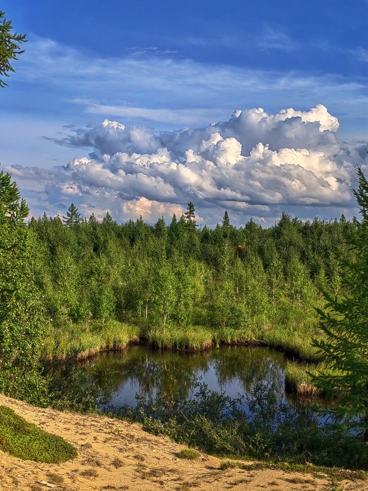 Photograph by Юлия Арестова