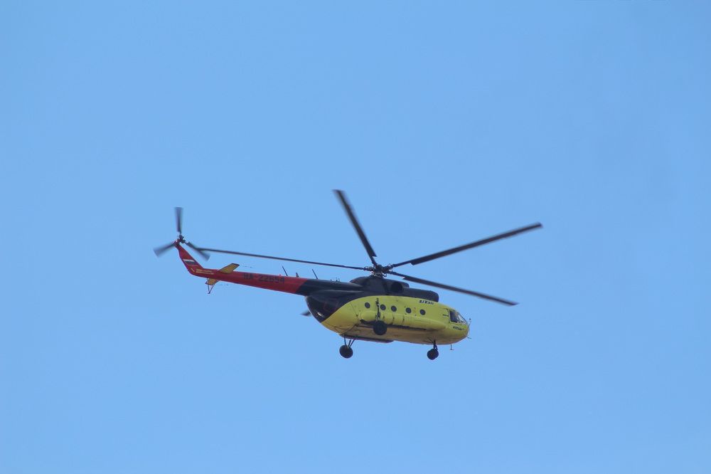 Photograph by Natasha Kim