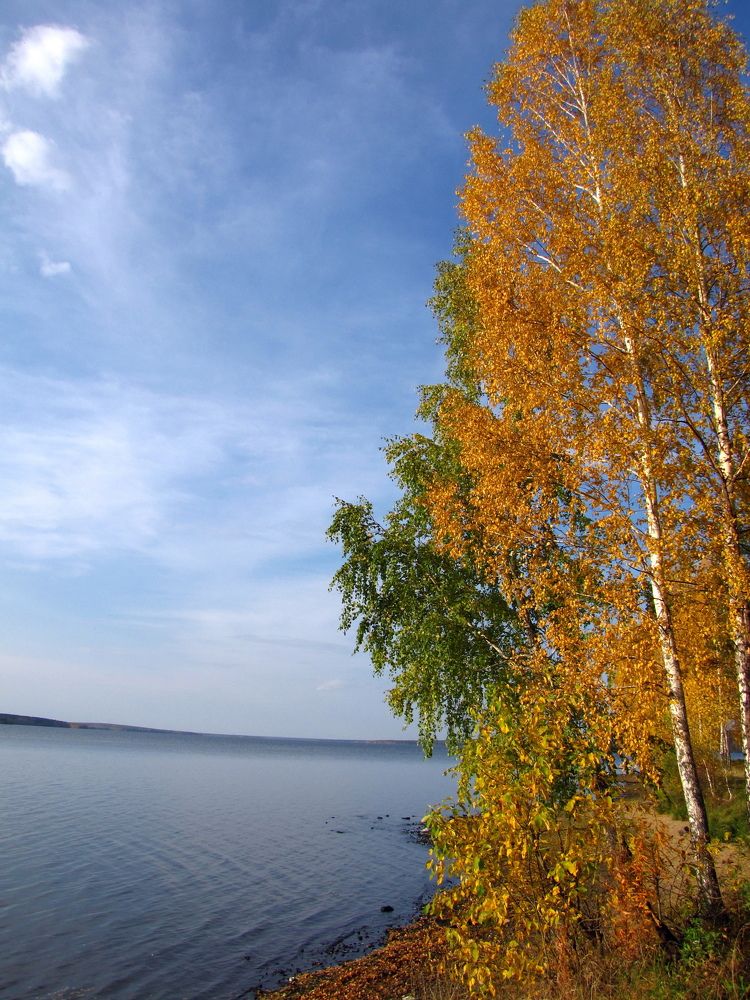 Photograph by Игорь Герасимов