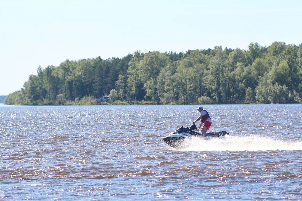 Photograph by Natasha Kim