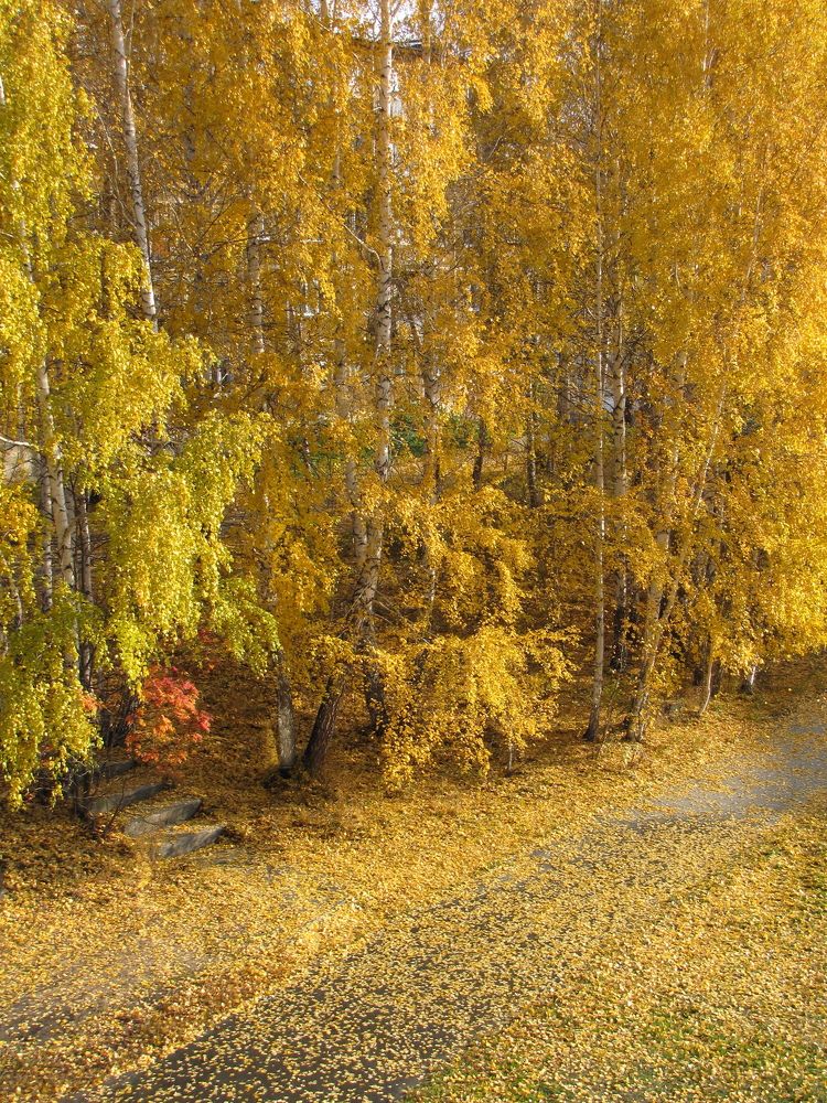 Photograph by Игорь Герасимов