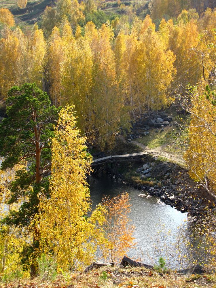 Photograph by Игорь Герасимов