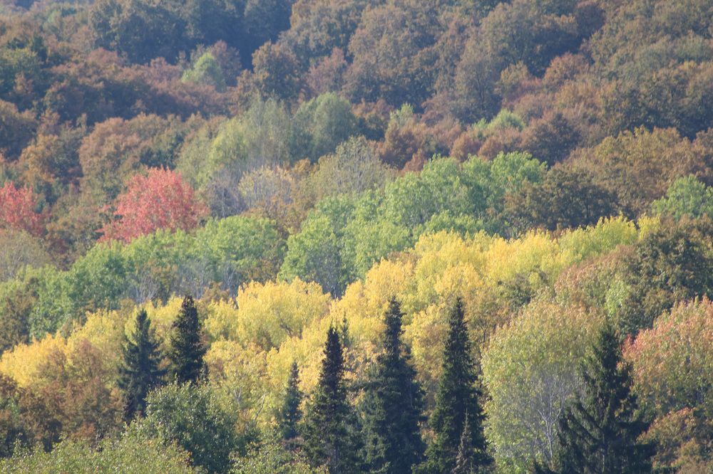 Photograph by Natasha Kim