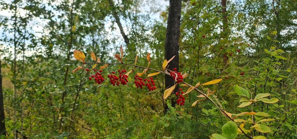 Photograph by Natasha Kim