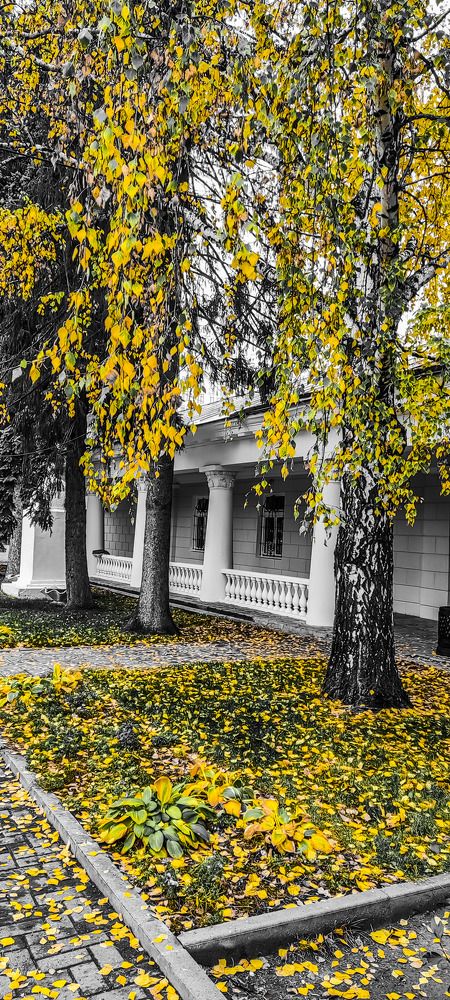 Photograph by Юлия