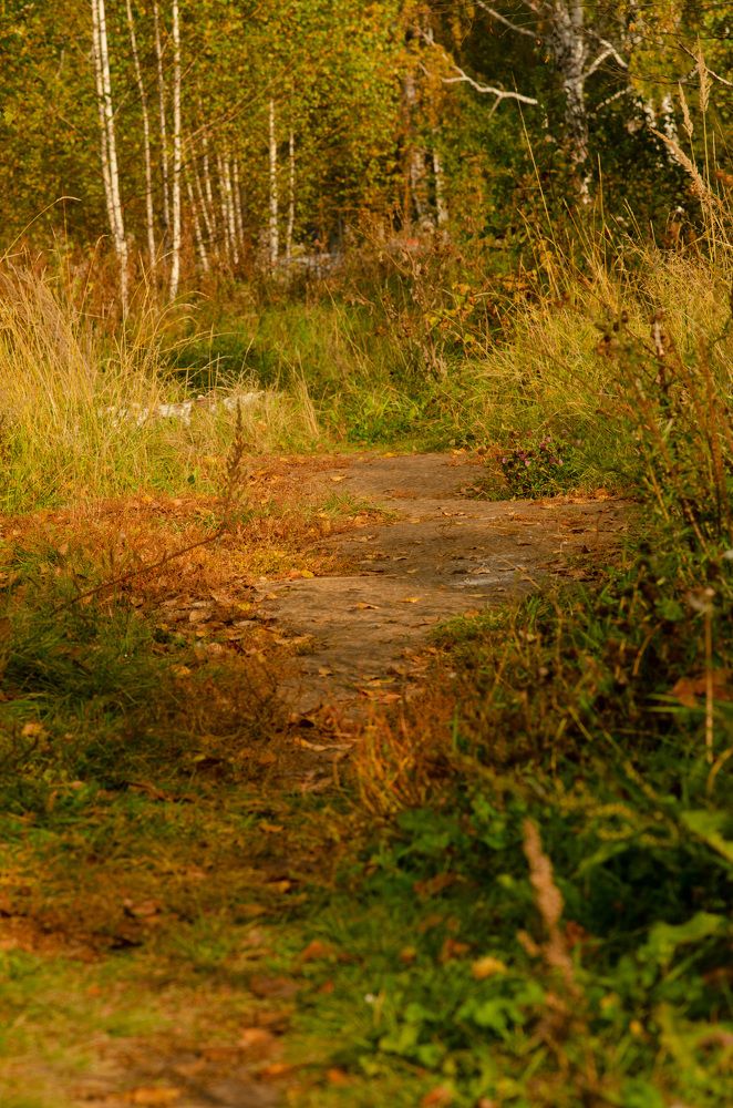 Photograph by Татьяна Валерьевна