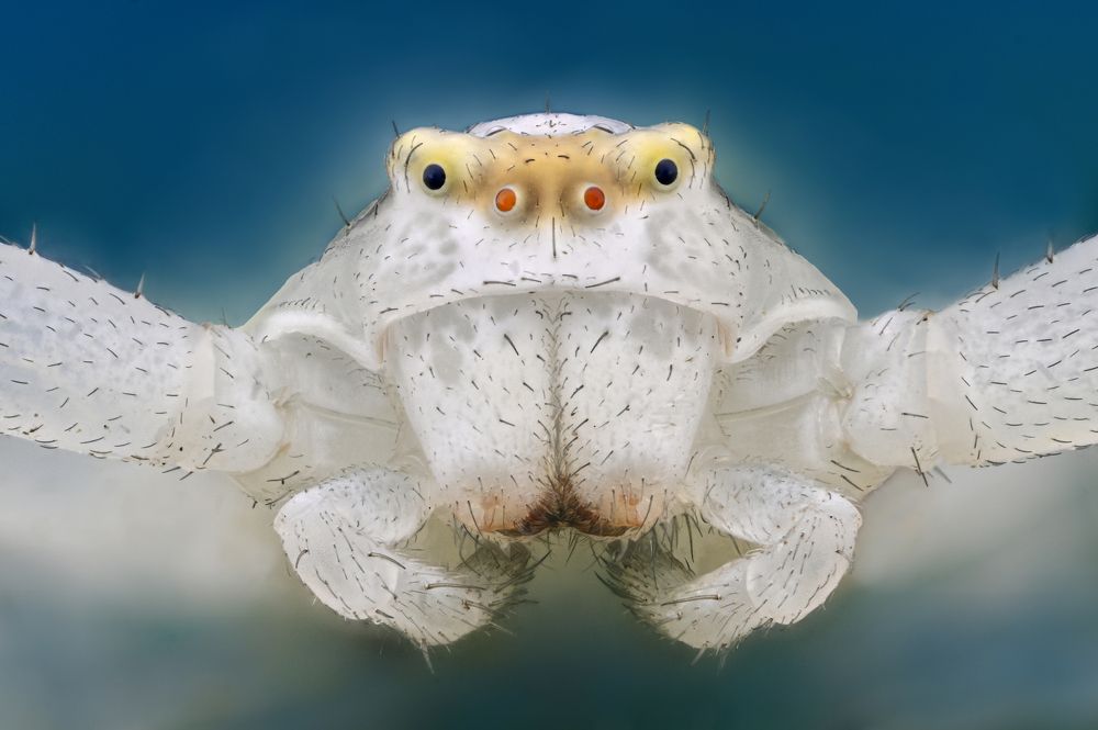 Photograph by Цветан Ганев