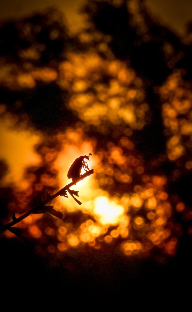 Photograph by shahil shaik