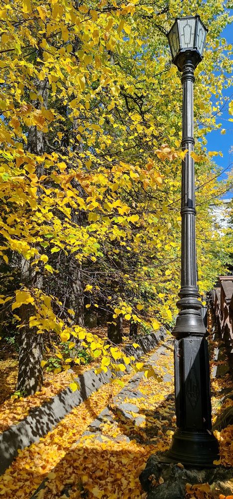 Photograph by Natasha Kim