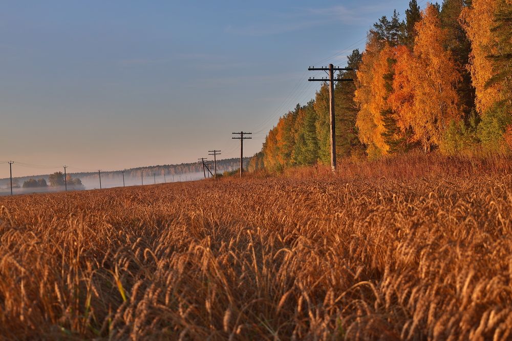 Photograph by Владимир Коровин