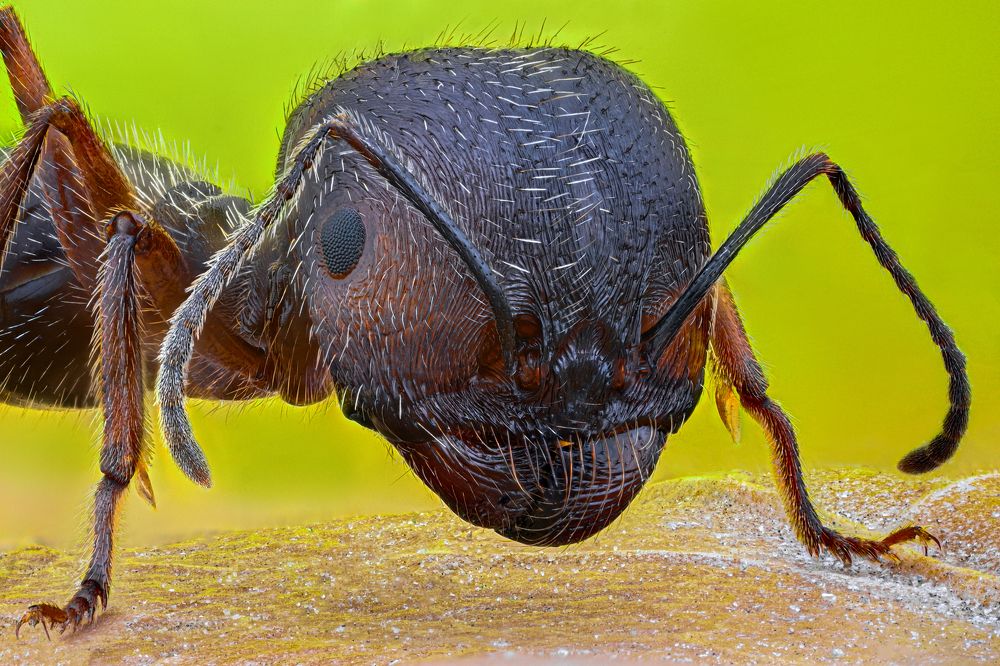 Photograph by Цветан Ганев