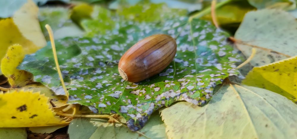 Photograph by Natasha Kim