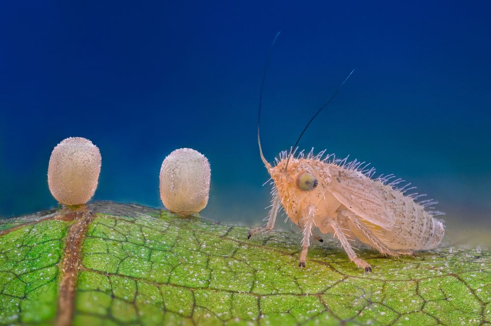 Photograph by Цветан Ганев