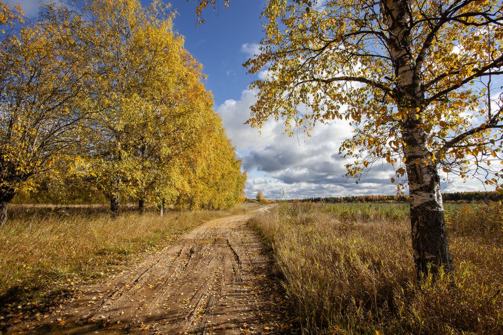 Дорога в осень...