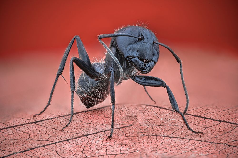 Photograph by Цветан Ганев