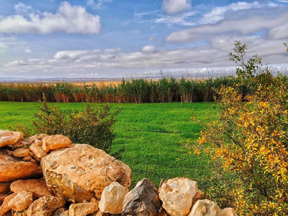 Photograph by Azzeddine Memmou