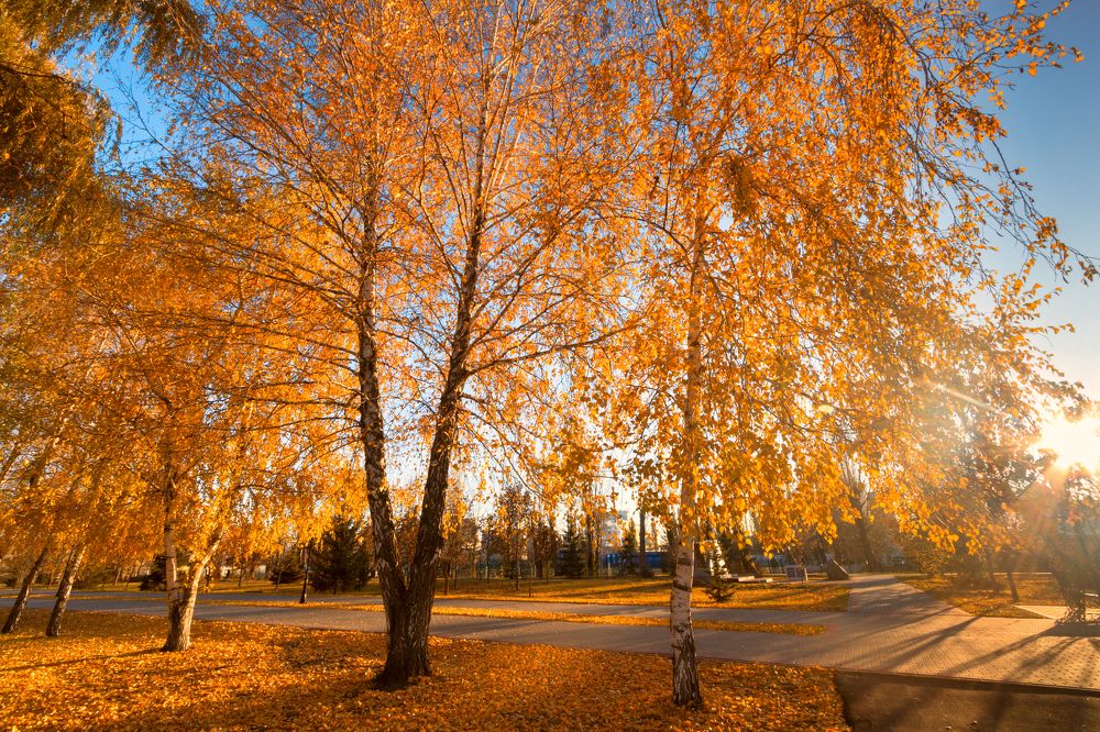 Photograph by Максим Шелякин