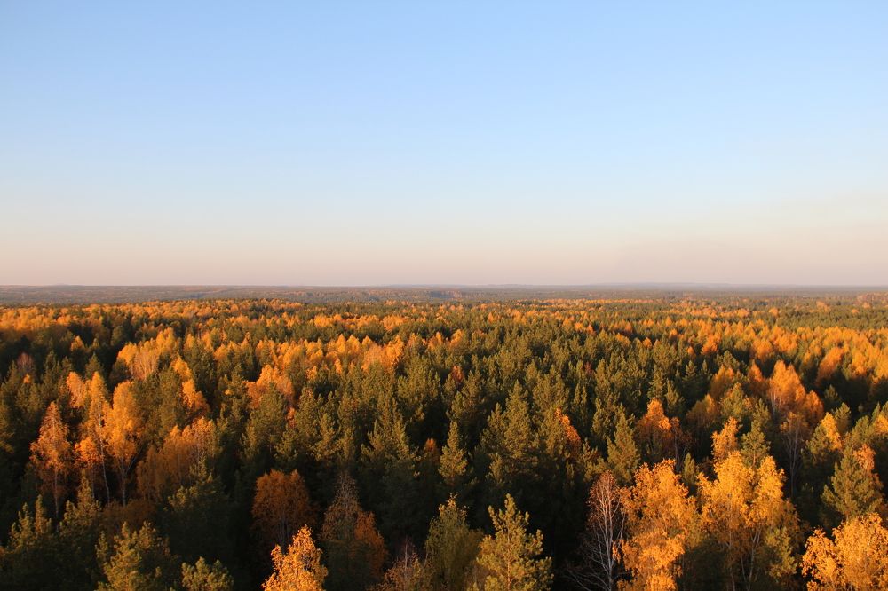 Photograph by Игорь Герасимов