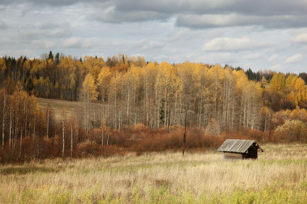 На краю осени