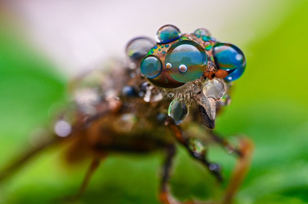 Photograph by Цветан Ганев