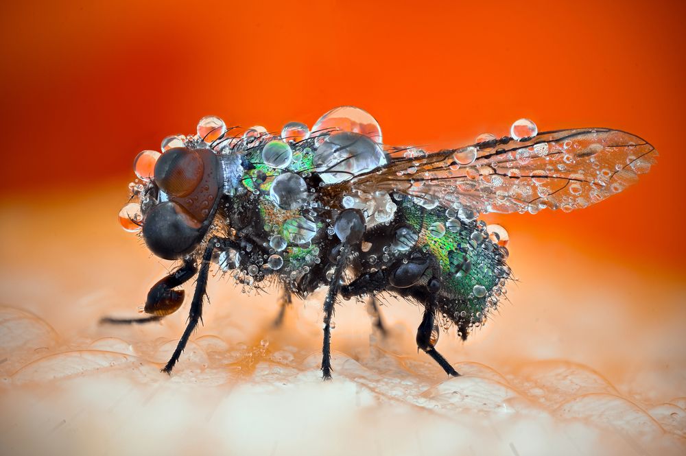 Photograph by Цветан Ганев