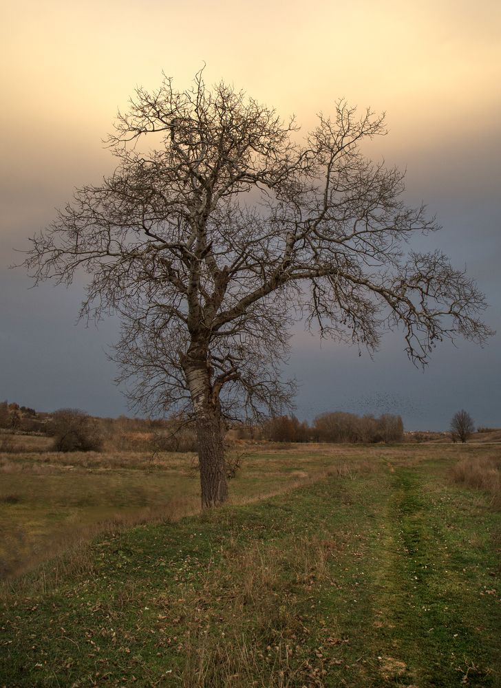 Photograph by Олег Ибрагимов